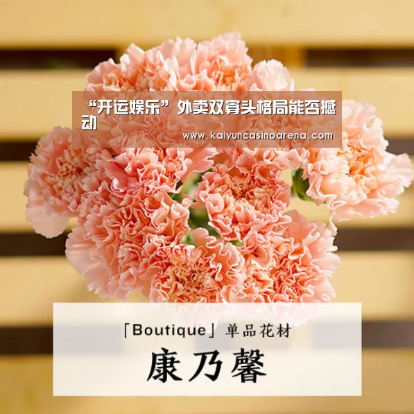 开运下载