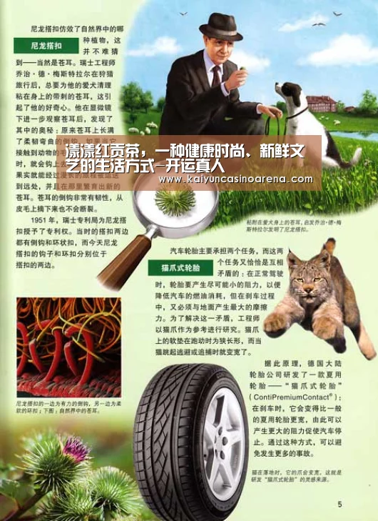漾漾红贡茶,一种健康时尚、新鲜文艺的生活方式-开运真人(图3) 开运娱乐